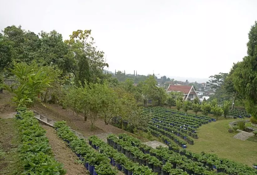 Fotos del hotel Surya  & Cottages Prigen:  9