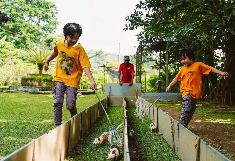 Fotos del hotel Surya  & Cottages Prigen:  15