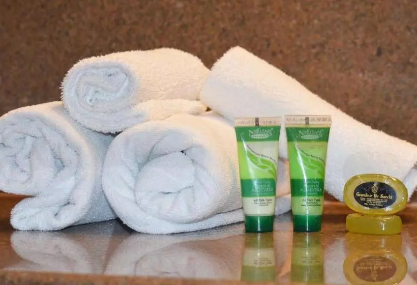 Fotos del hotel Grandeur De Sanchi:  8