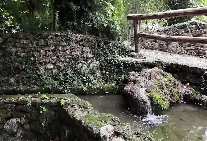 Fotos del hotel Las Aguas De Arbuniel:  7