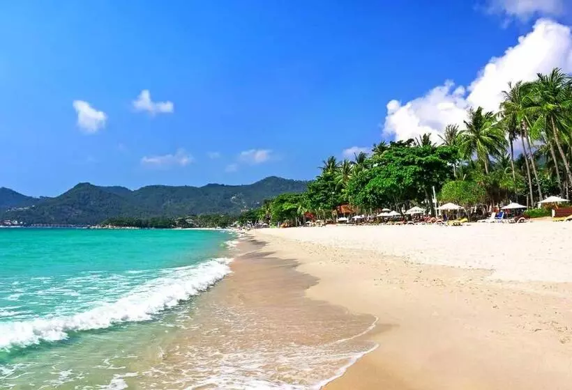 Fotos del hotel Lotus Friendly:  15