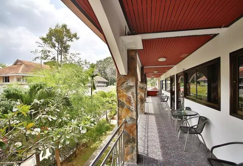 Fotos del hotel Lotus Friendly:  10