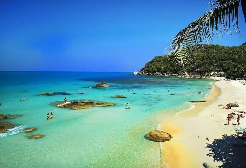 Fotos del hotel Lotus Friendly:  20