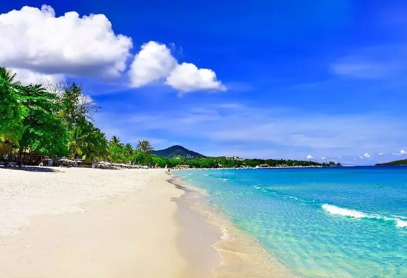 Fotos del hotel Lotus Friendly:  6