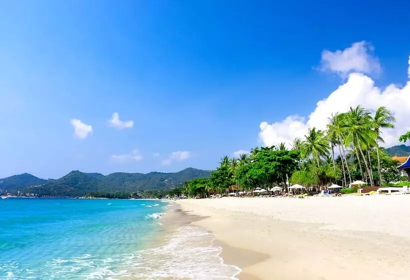 Fotos del hotel Lotus Friendly:  11