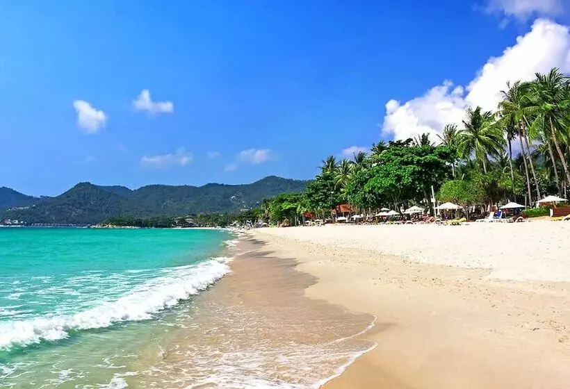 Fotos del hotel Lotus Friendly:  18