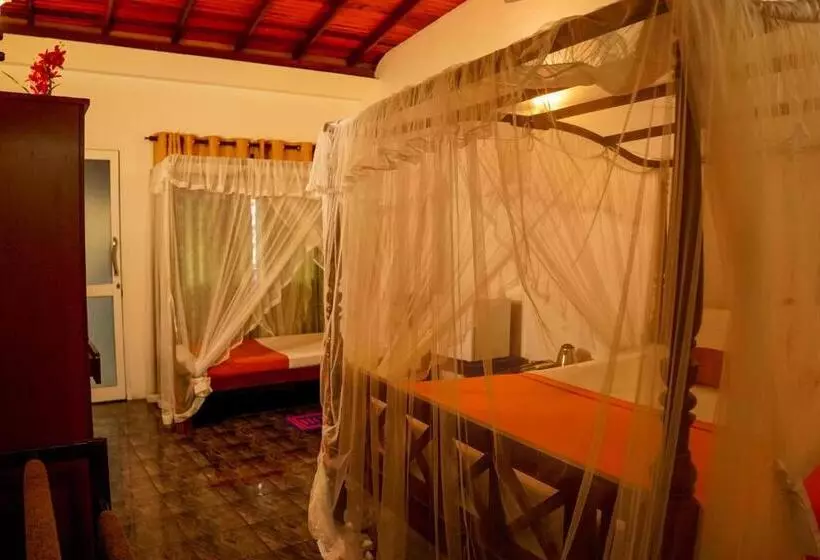 Fotos del hotel Peacock:  25