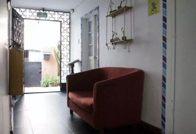 Fotos del hotel La Nina Hostel:  25