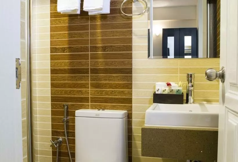 Fotos del hotel Somerset Inn:  11