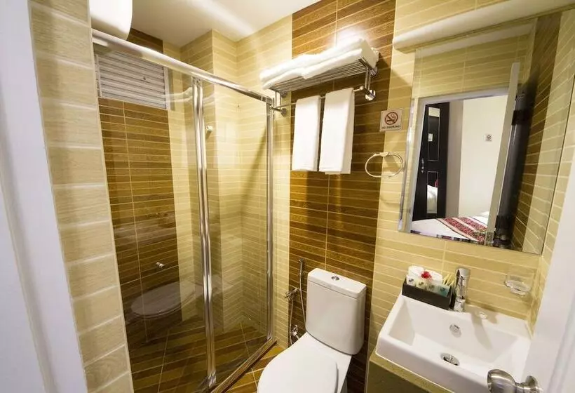 Fotos del hotel Somerset Inn:  6