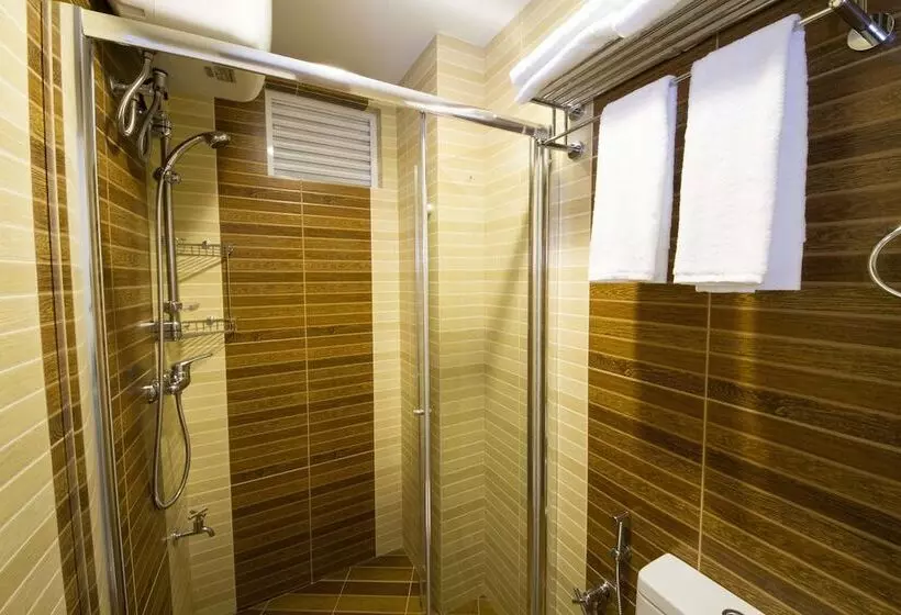 Fotos del hotel Somerset Inn:  17