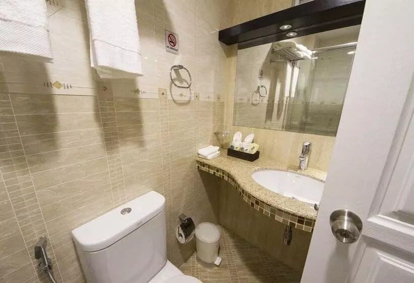 Fotos del hotel Somerset Inn:  14