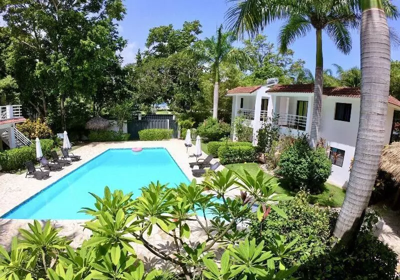 Fotos del hotel Coral Blanco:  25