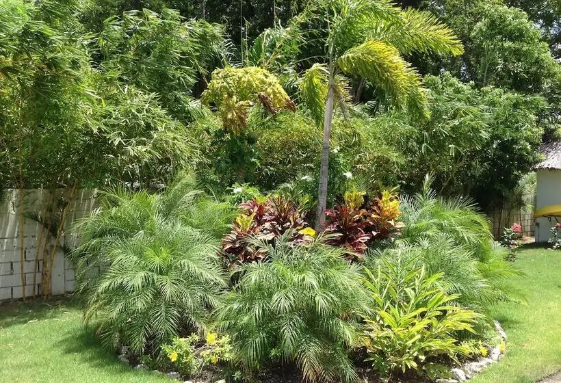 Fotos del hotel Coral Blanco:  5