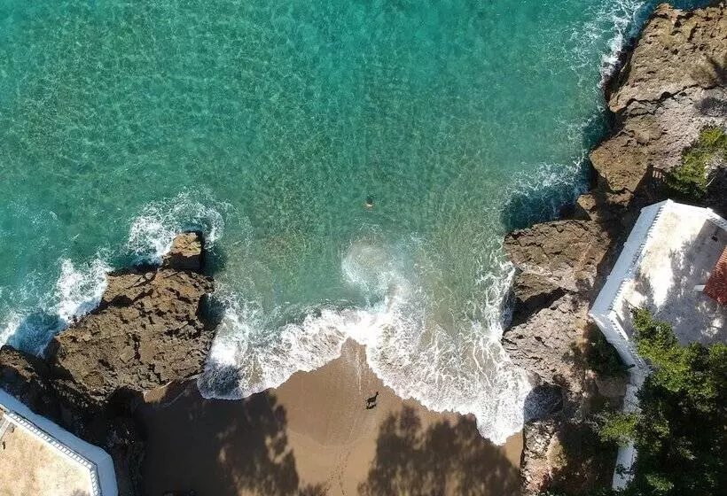 Fotos del hotel Coral Blanco:  14