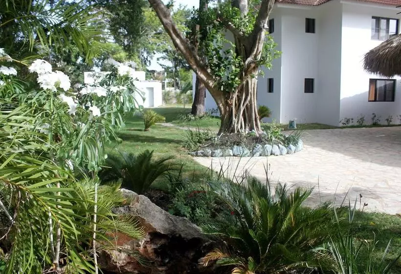 Fotos del hotel Coral Blanco:  24