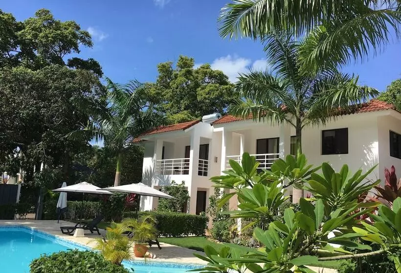 Fotos del hotel Coral Blanco:  23