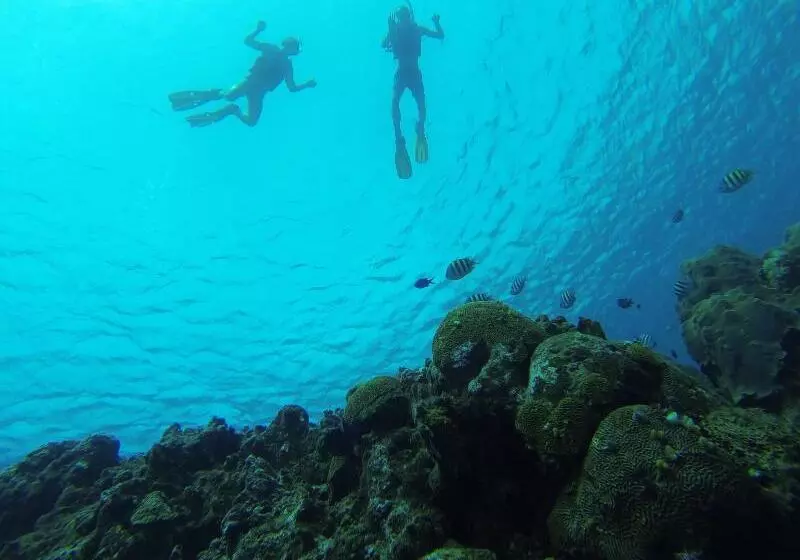 Fotos del hotel Coral Blanco:  10