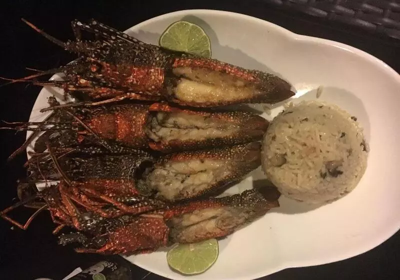 Fotos del hotel Coral Blanco:  8