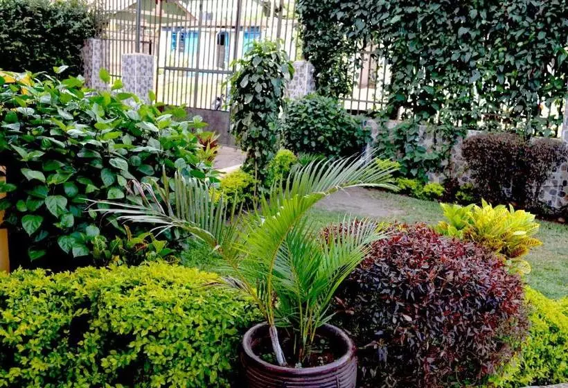 Fotos del hotel Top Five:  22