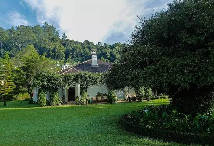 Fotos del hotel Anilana Craigbank:  13