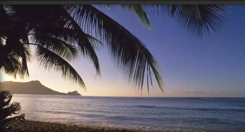 Fotos del hotel Jet Luxury @ The Trump Waikiki:  10