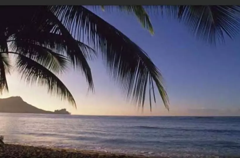 Fotos del hotel Jet Luxury @ The Trump Waikiki:  18