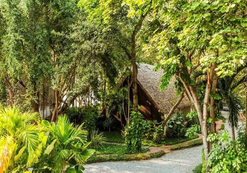 Fotos del hotel The Monttra Pattaya:  25