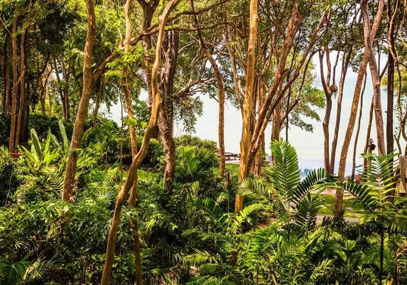 Fotos del hotel The Monttra Pattaya:  4