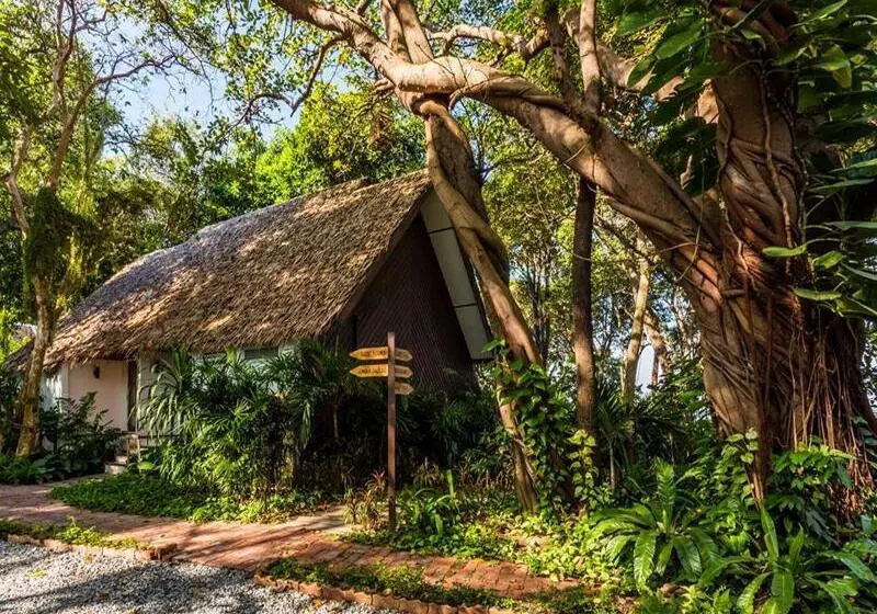 Fotos del hotel The Monttra Pattaya:  23