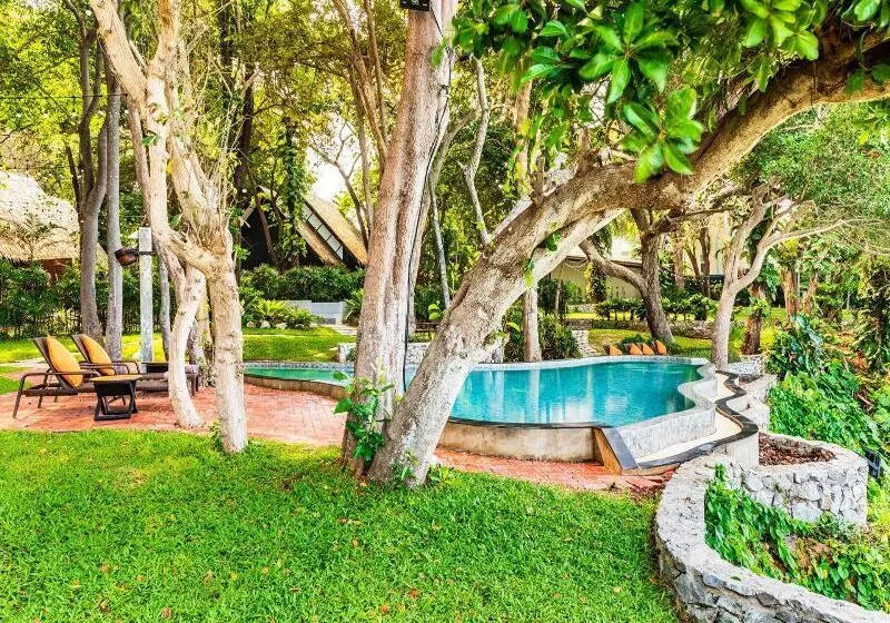 Fotos del hotel The Monttra Pattaya:  5