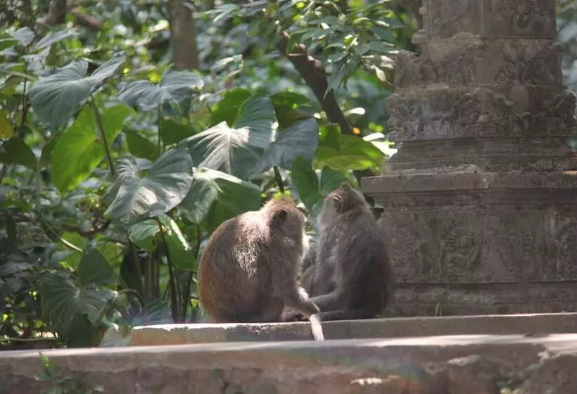 Fotos del hotel Umaya Ubud Villa:  7