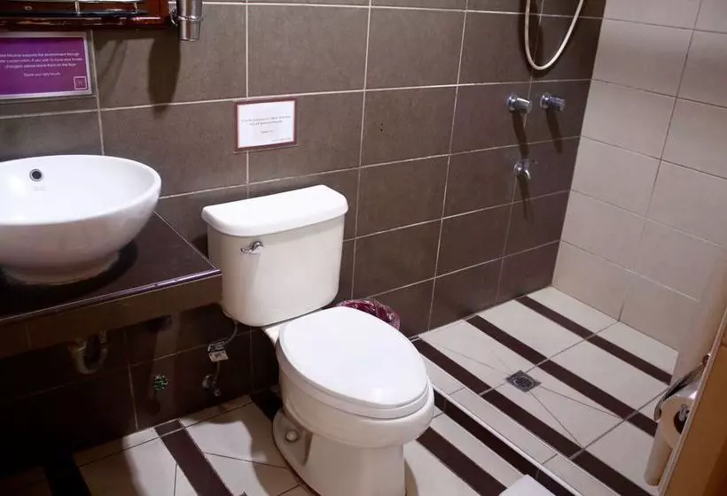 Fotos del hotel Nicanor:  17