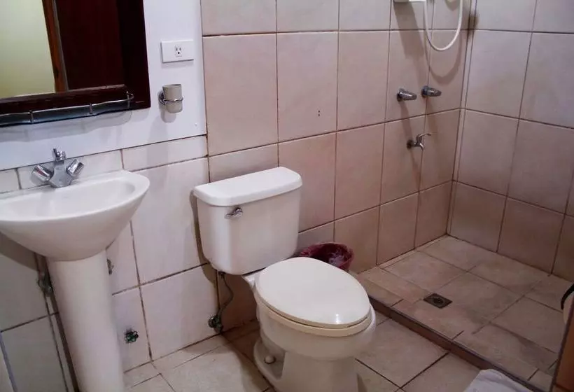 Fotos del hotel Nicanor:  3