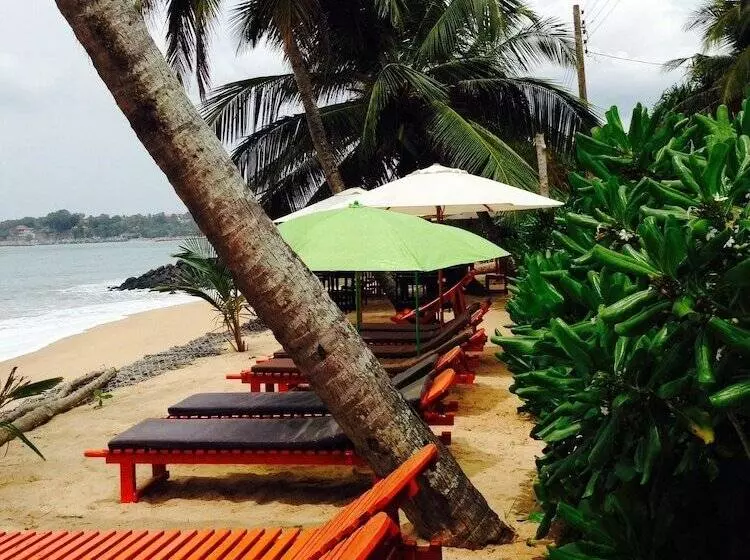 Fotos del hotel Coppenrath Hostel:  11