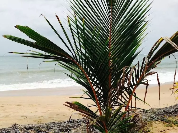 Fotos del hotel Coppenrath Hostel:  9