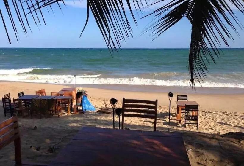 Fotos del hotel Coppenrath Hostel:  5