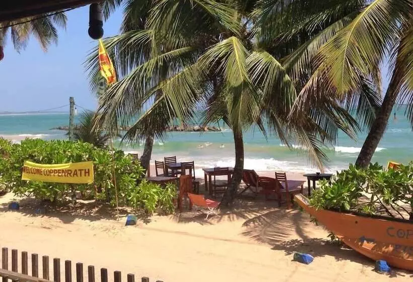 Fotos del hotel Coppenrath Hostel:  7