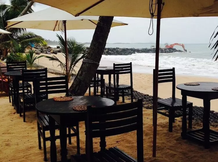 Fotos del hotel Coppenrath Hostel:  8