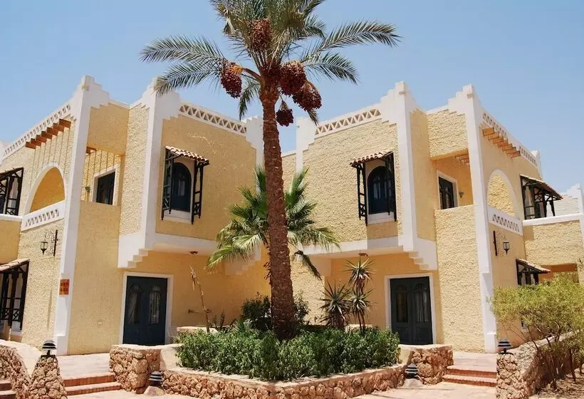 Fotos del hotel Club El Faraana Reef Resort:  19