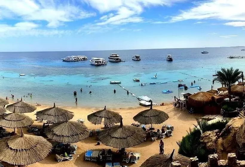 Fotos del hotel Club El Faraana Reef Resort:  9