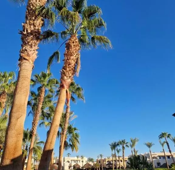 Fotos del hotel Club El Faraana Reef Resort:  17