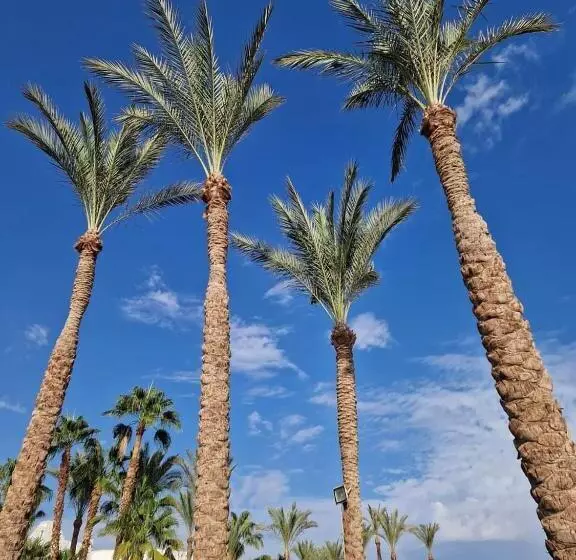 Fotos del hotel Club El Faraana Reef Resort:  24