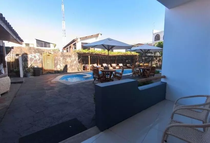 Fotos del hotel Ninfa:  14