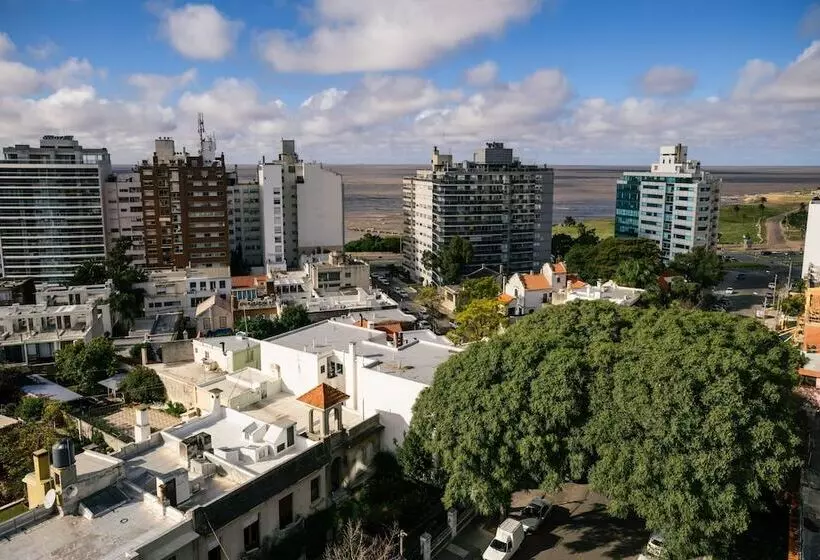 Fotos del hotel Own Montevideo:  8