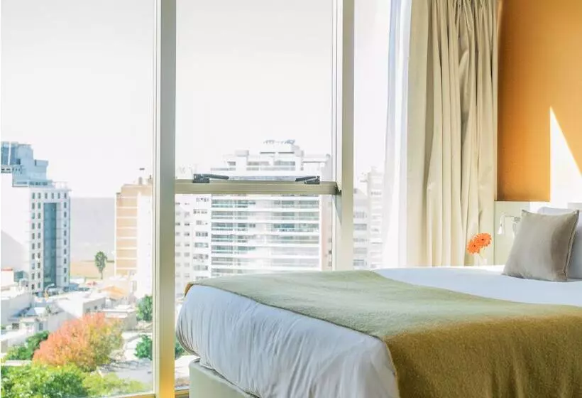 Fotos del hotel Own Montevideo:  18