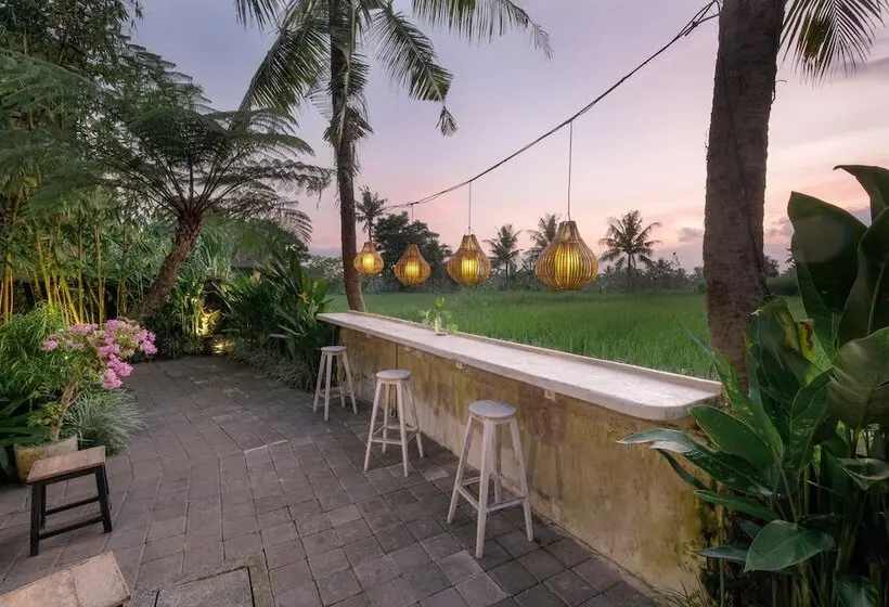 Fotos del hotel Inata Bisma Hotel Ubud:  17