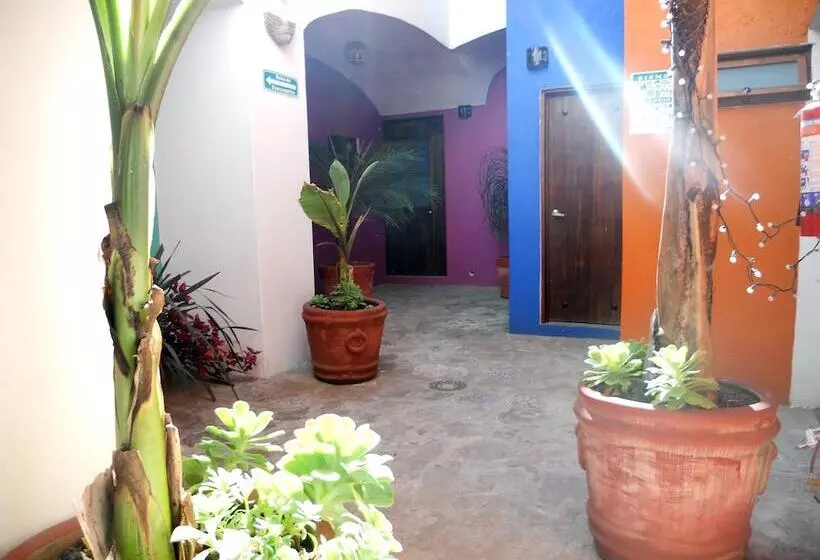 Fotos del hotel Casa Abolengo:  21