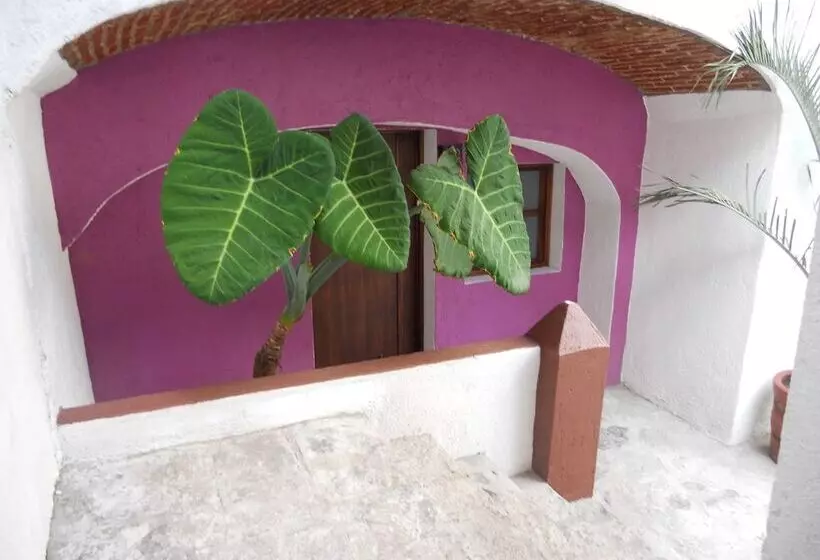 Fotos del hotel Casa Abolengo:  12