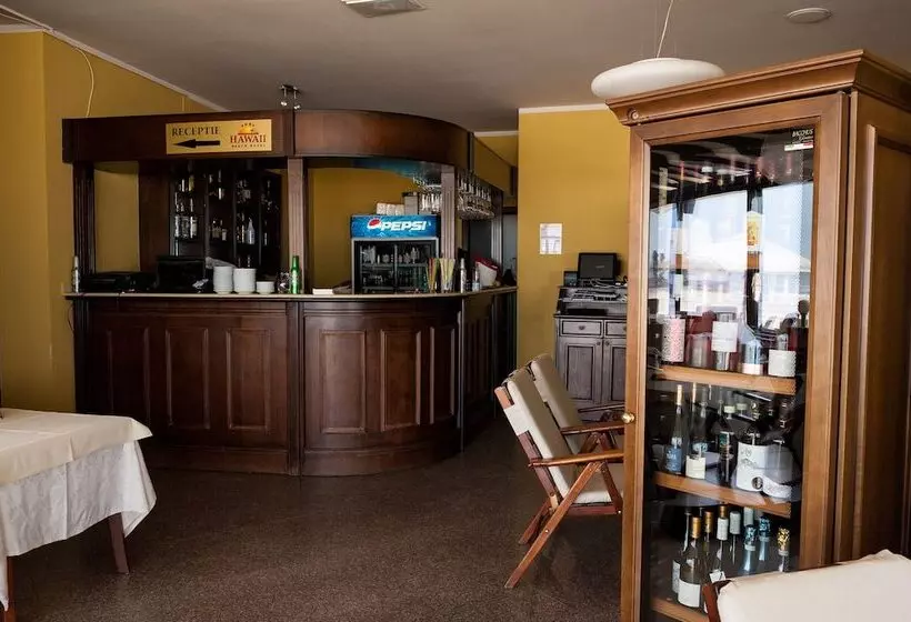 Fotos del hotel Hawaii:  4